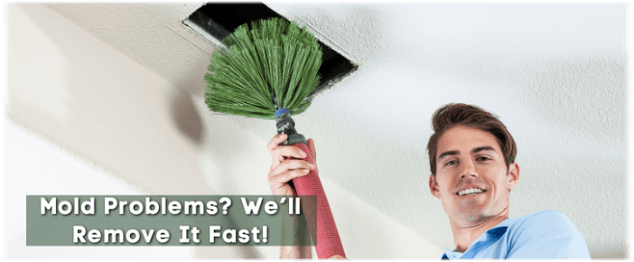 Air Duct Mold Removal in Beverly Hills
