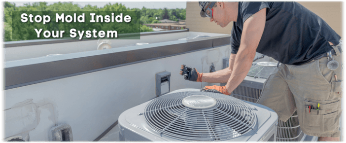 HVAC Mold Removal Beverly Hills